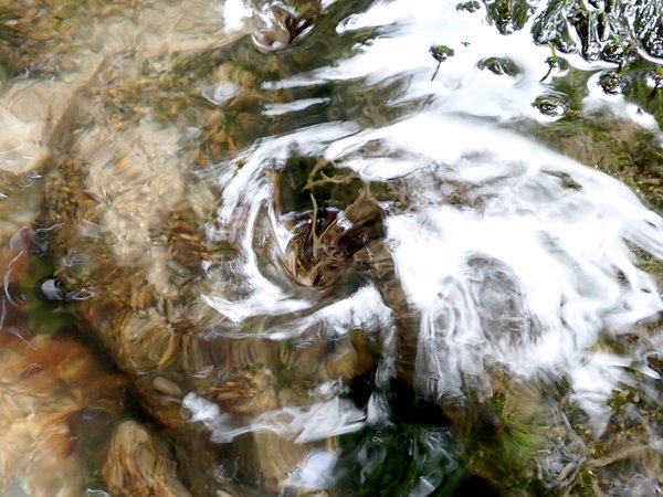 Drinkable: The Waters We Drink and Care For